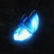 blue butterfly